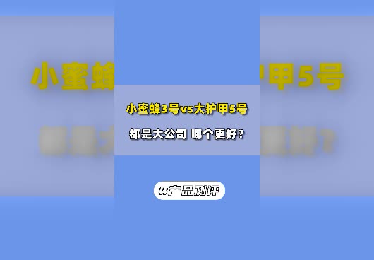 小蜜蜂3号和大护甲5号哪个好？如何选择？
